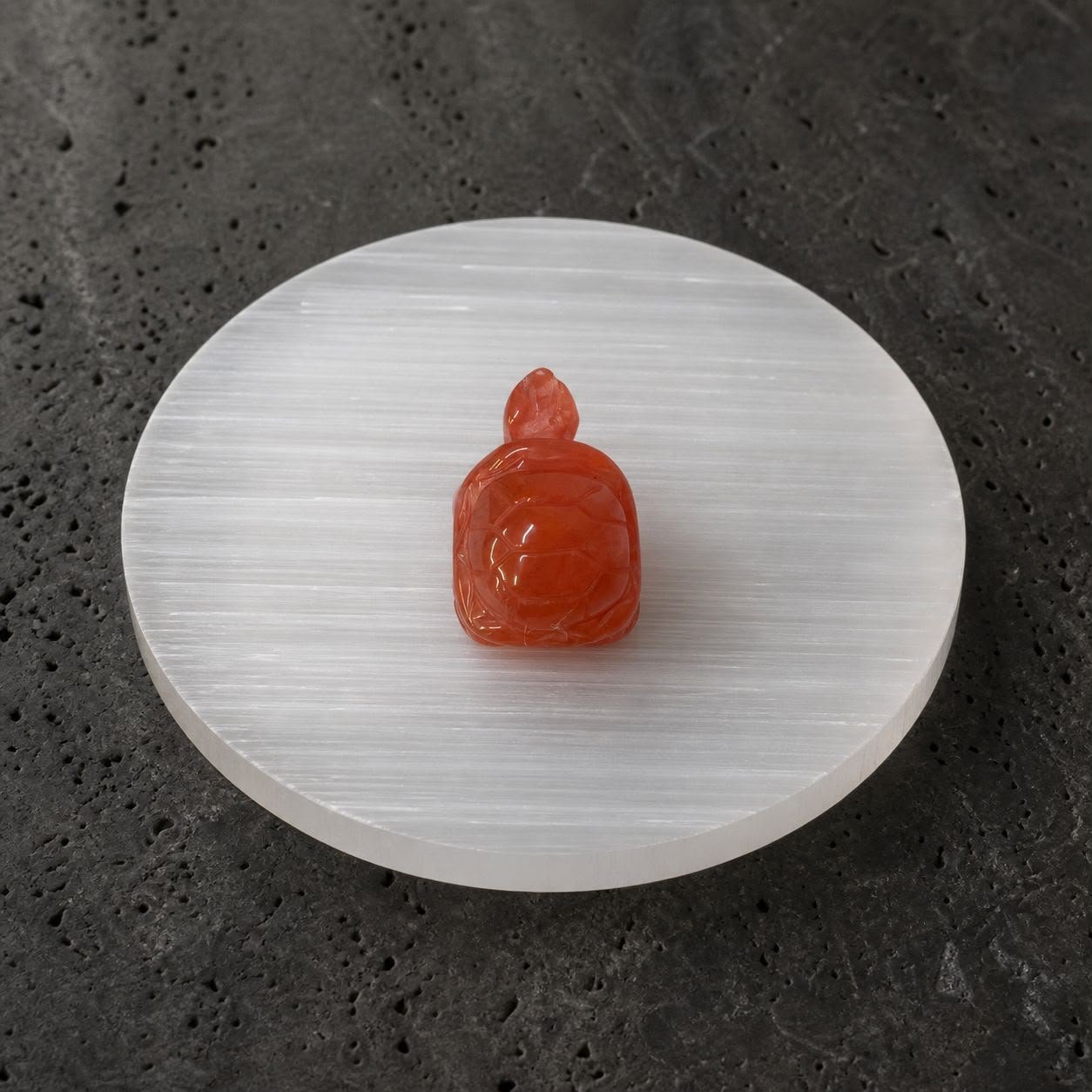 Carnelian Turtle, hand-carved gemstone sculpture in natural carnelian, alternate view